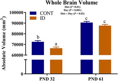 Dietary Iron Repletion following Early-Life Dietary Iron Deficiency Does Not Correct Regional Volumetric or Diffusion Tensor Changes in the Developing Pig Brain